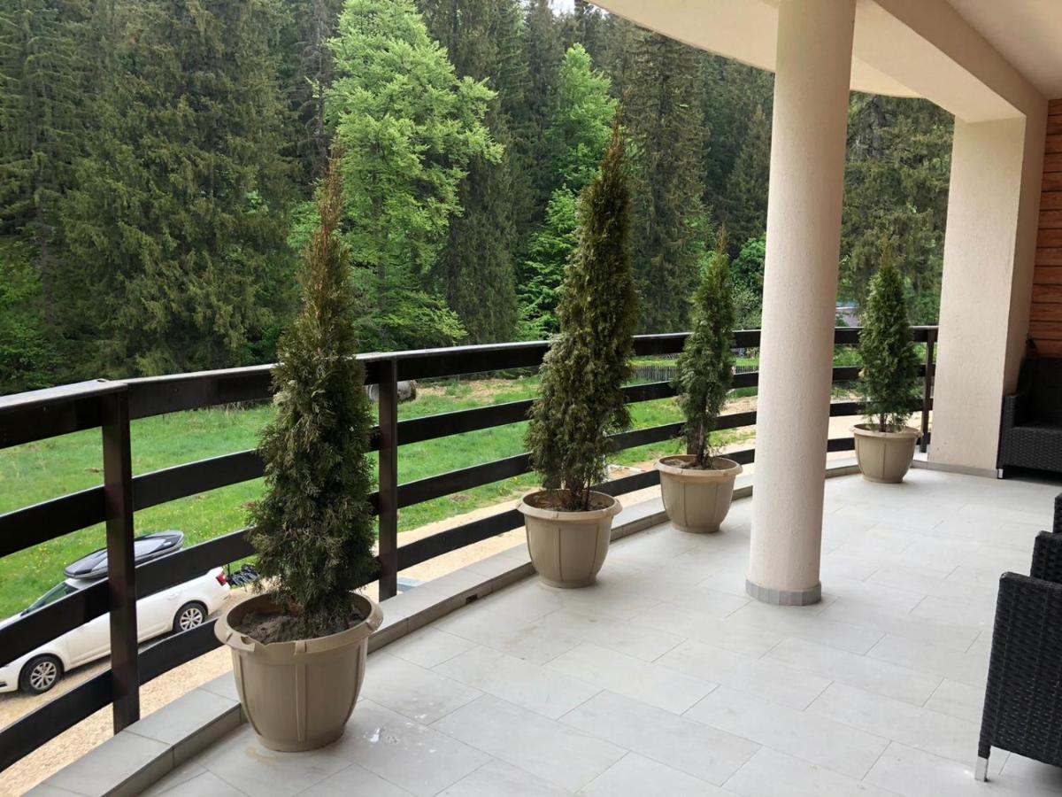 פויאנה ברשוב Maya Luxury Residence מראה חיצוני תמונה