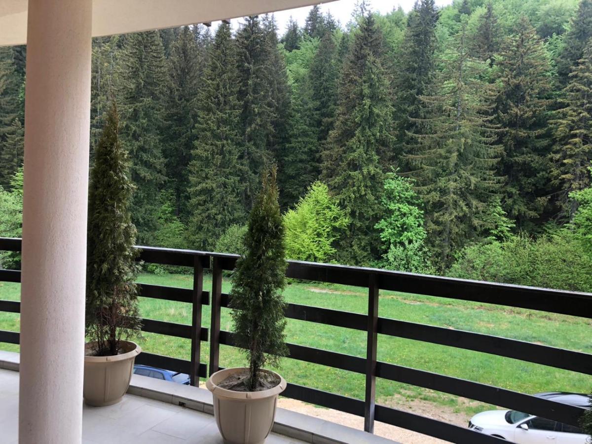 פויאנה ברשוב Maya Luxury Residence מראה חיצוני תמונה